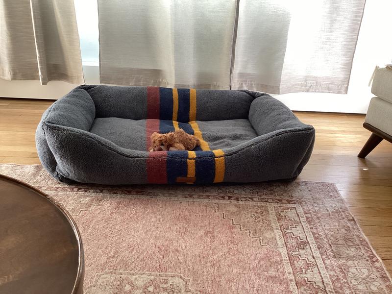 Review Thumbnail Image 1 241804150