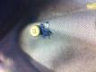 User submitted photo