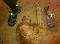 User submitted photo