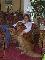 User submitted photo