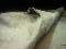 User submitted photo