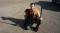 User submitted photo