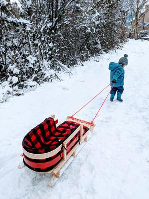 Kids Pull Sled And Cushion Set