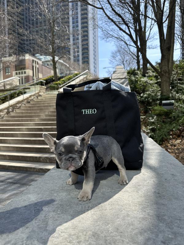 Customer photo for "Perfect Doggy Bag ; )"