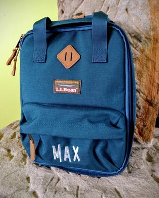ll bean insulated lunch bag