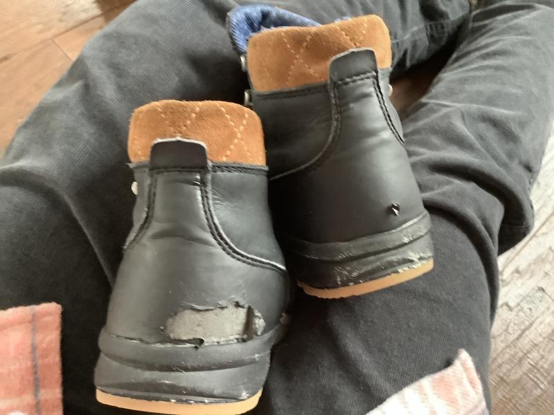 Review Thumbnail Image 0 247701331