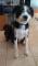 User submitted photo