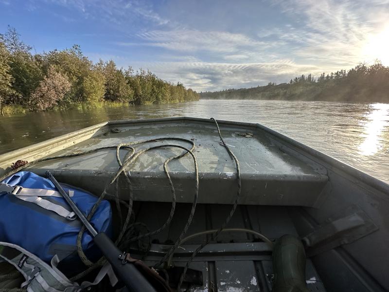 Headed for moose