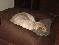 User submitted photo