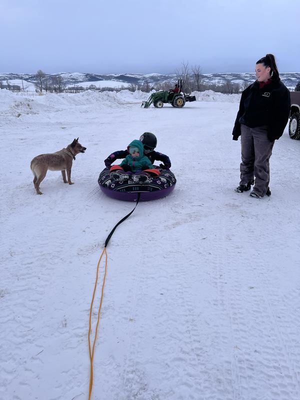 Kids' Pull Sled and Cushion Set, Sleds & Snow Tubes at L.L.Bean