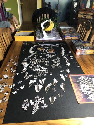 Review Thumbnail Image 0 206325525