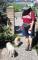 User submitted photo