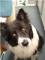 User submitted photo