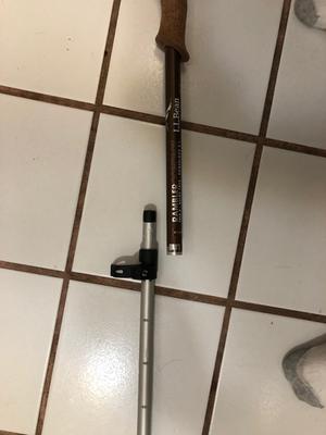 ll bean walking sticks