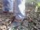 User submitted photo