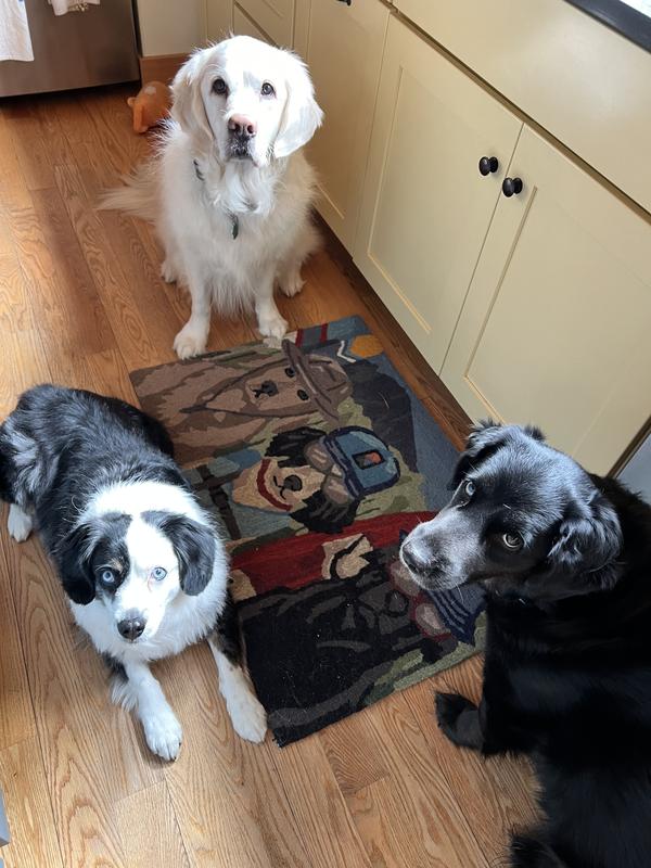 My pups and their rug!
