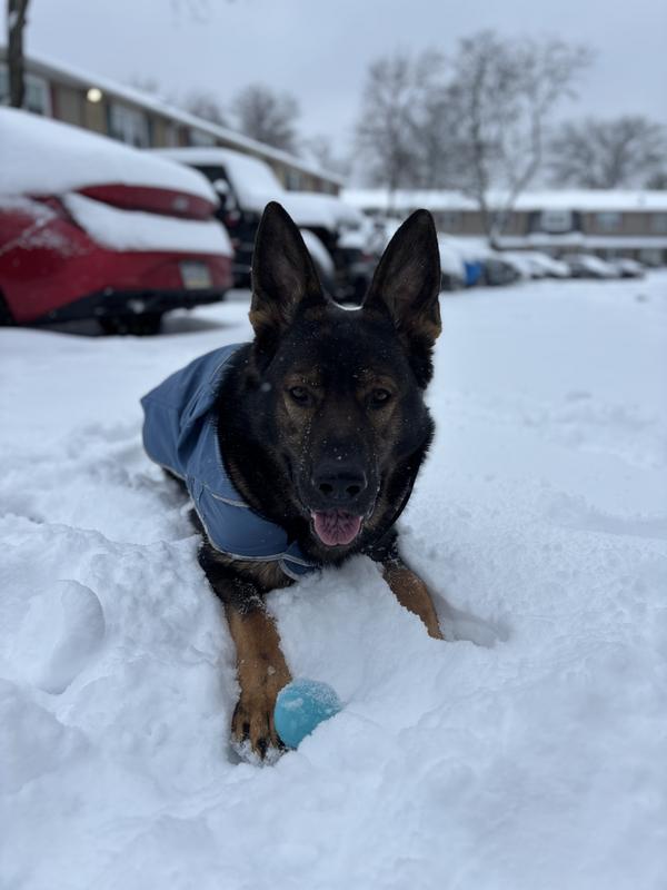 Taking a break