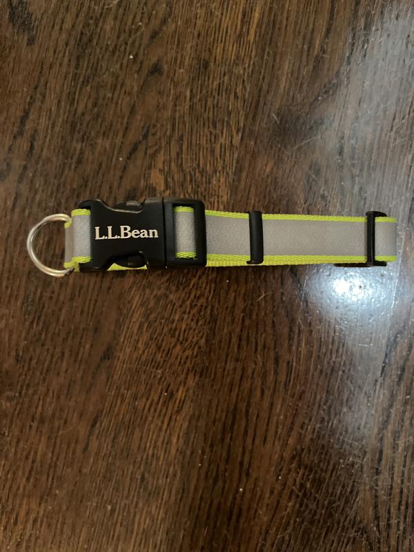 Personalized Pet Collar Reflective Collars Leads Leashes at L.L.Bean