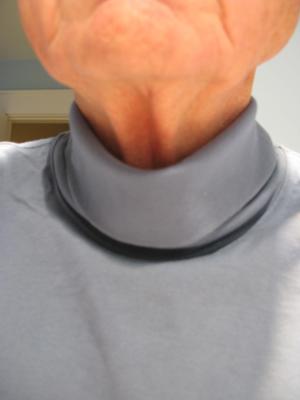 ll bean men's turtleneck shirts