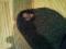 User submitted photo