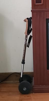 ll bean wooden walking stick