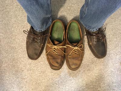 ll bean blucher moccasins