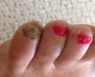 User submitted photo
