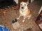 User submitted photo