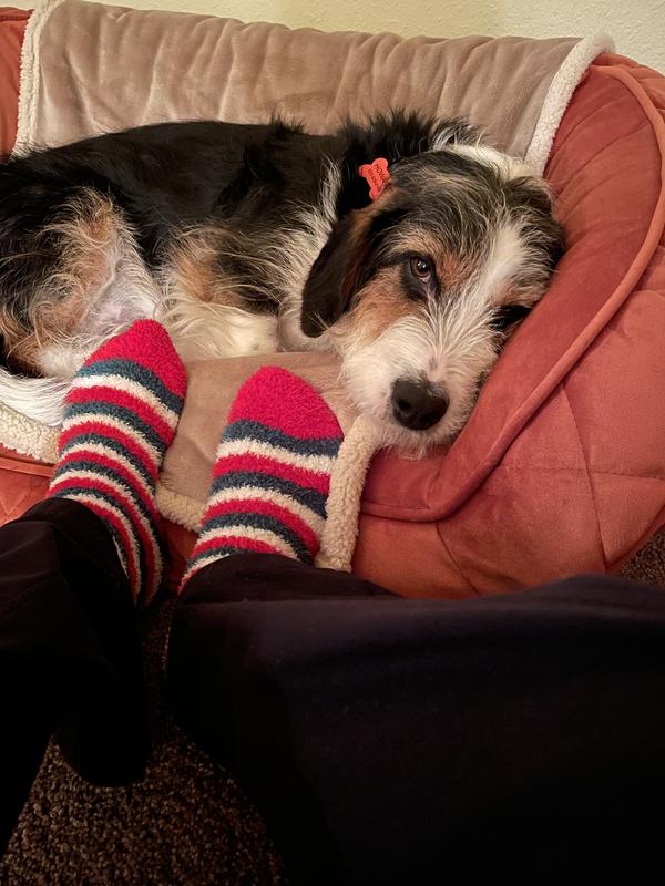 Howard snuggles in for the night