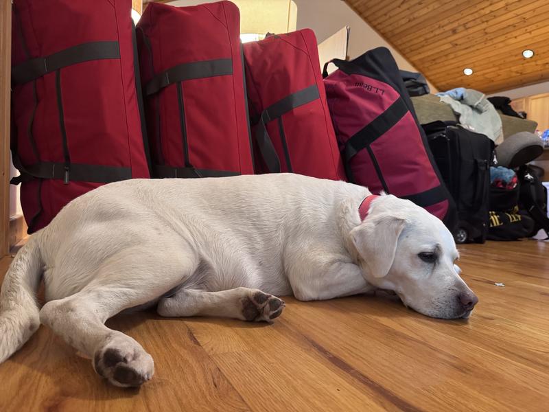 Adventure Rolling Duffle Bag, XX-Large, 135L