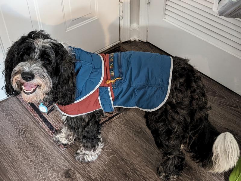 Ll bean sweater fleece jacket for dogs best sale