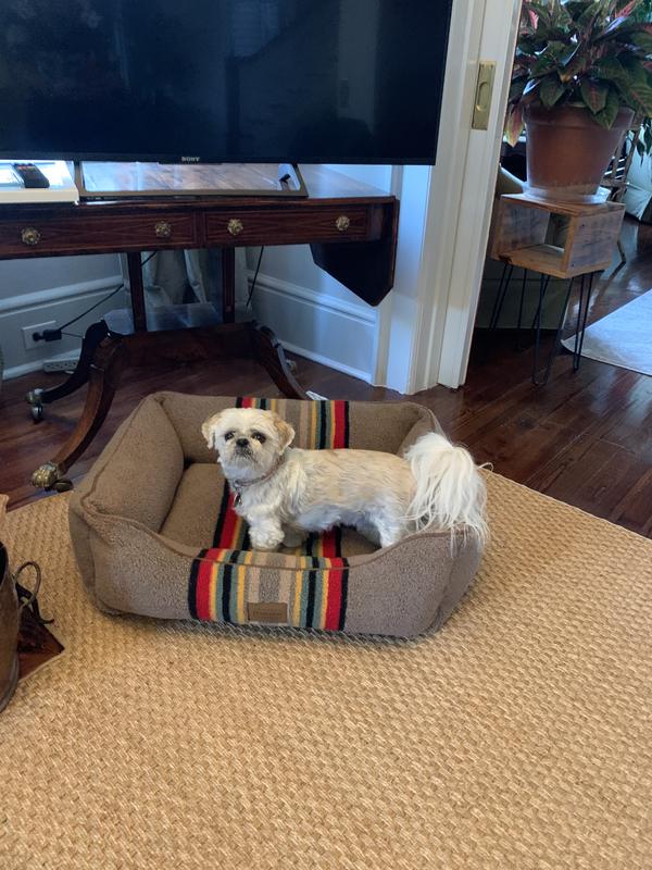Customer photo for "Nice soft, handsome bed."