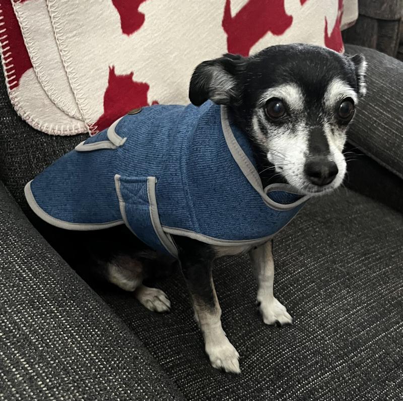 Sweater Fleece Jacket for Dogs Jackets Vests at L.L.Bean