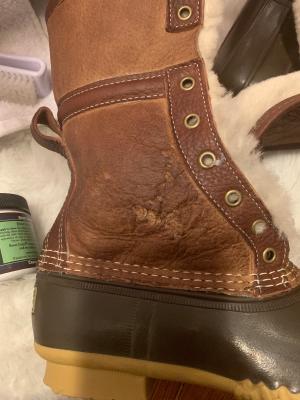 boot guard leather dressing