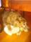 User submitted photo