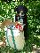 User submitted photo