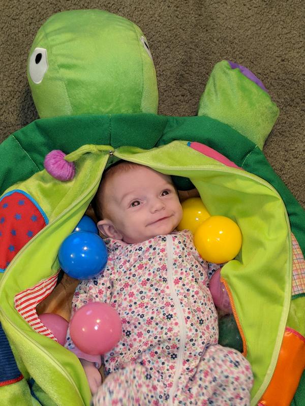 plush turtle ball pit