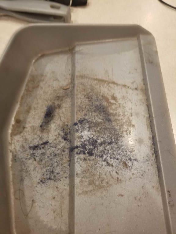 Dye dust that I swept from falling out