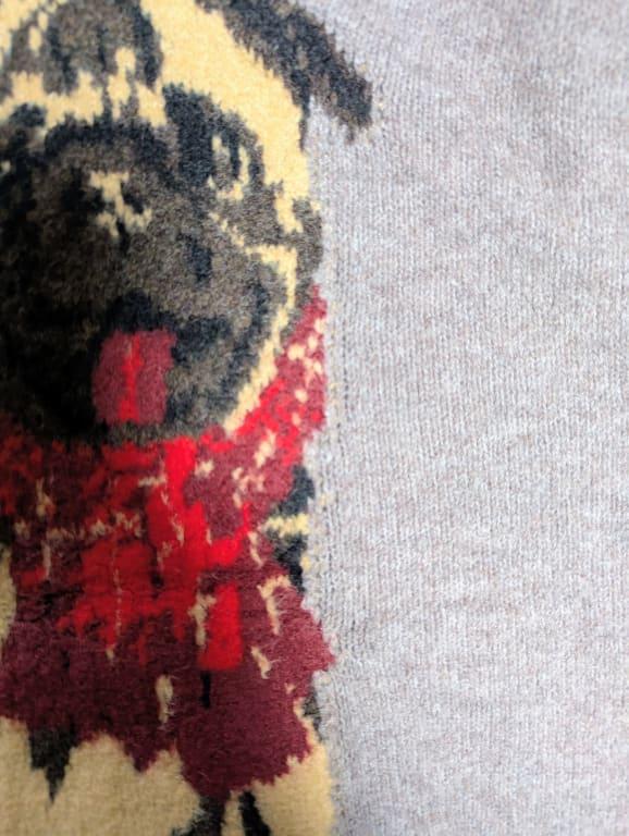 Fabric on side of pug