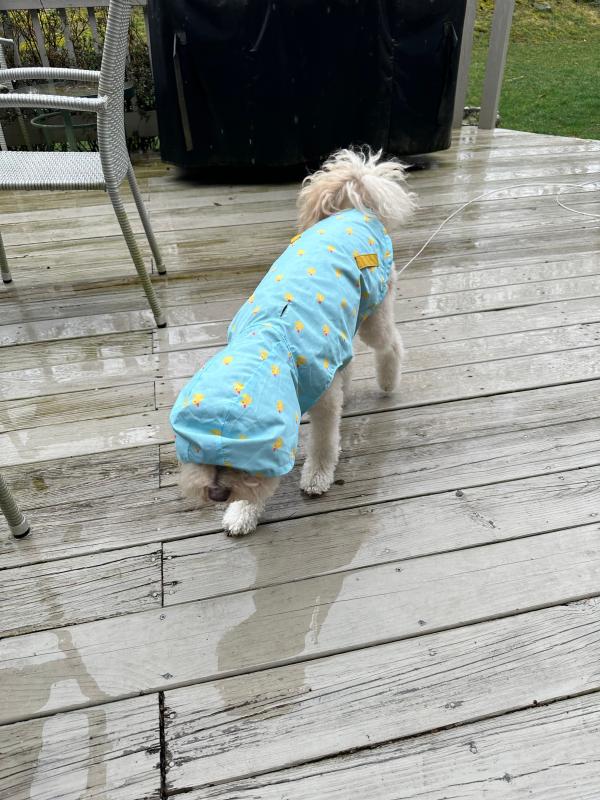 Perfect for a rainy day!