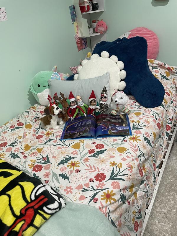 Reading the fox book