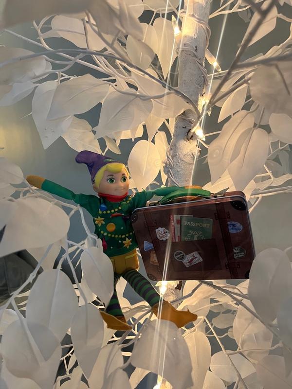 Photo - commentaire&nbsp;6.