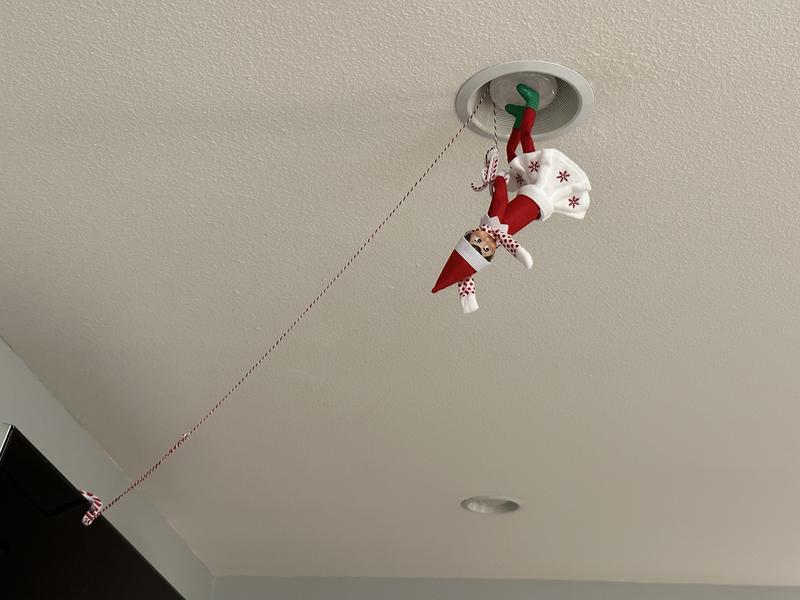 Photo - commentaire 1.