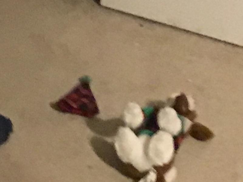 It’s just laying on the ground