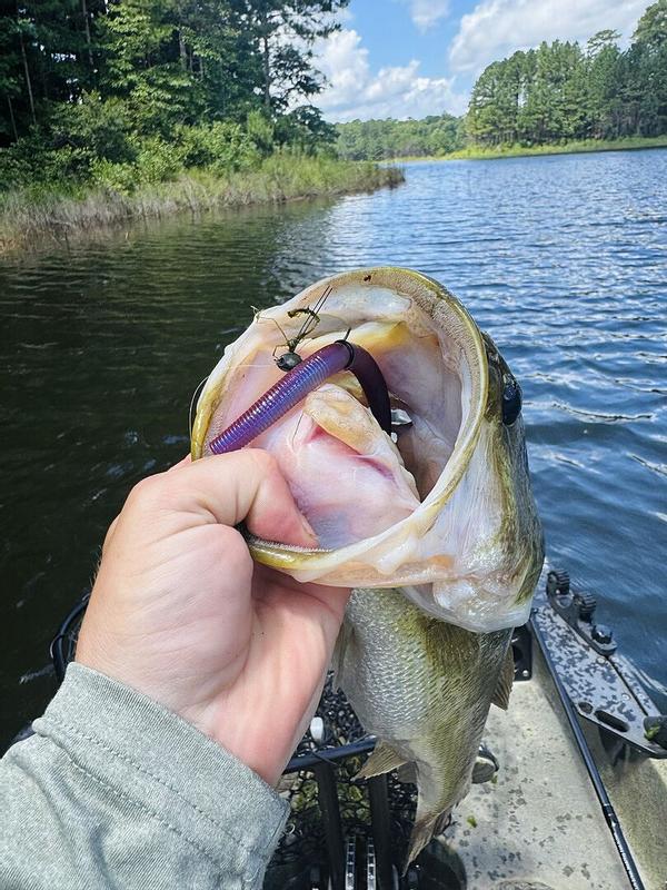 baitcasting combos on sale KastKing Centron Baitcasting Combos 7'0" / Moderate Fast-Medium Heavy / Left Handed