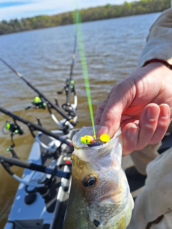 can you use lures for surf fishing Hi. I'm a beginner beach fisher and was wondering what the best lure to use  would be for casting into the surf. I live in south Florida if that is of  any