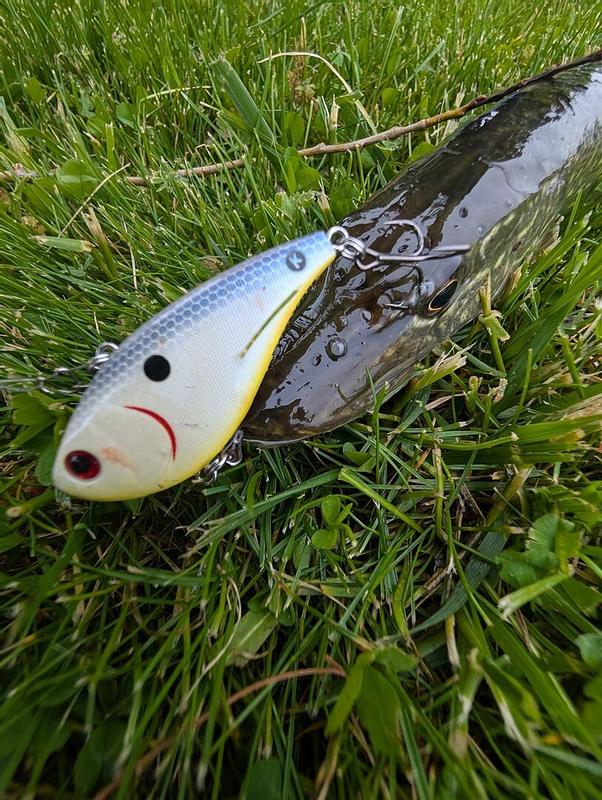 BOOYAH ONE KNOCKER-Gold Shiner-2 1/2