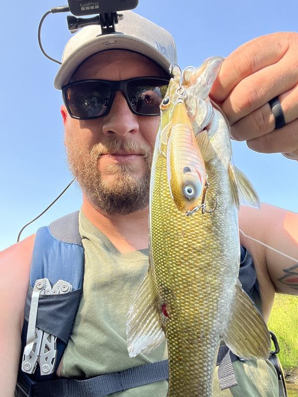 Heddon Spin'N Image