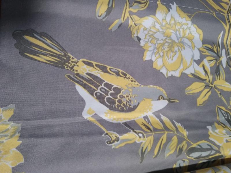 Photo from DebbieC8118