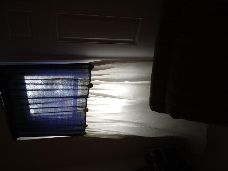 Curtain